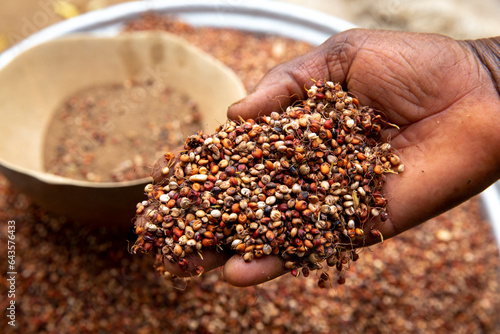 Microfinance client making dolo (an African beverage) in Dapaong, Togo.