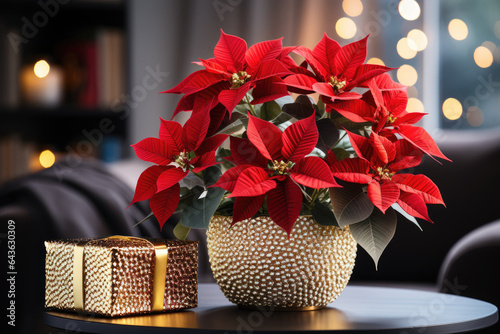Red Christmas star poinsettia flowers in gold vase on the table in living room in holiday lights background