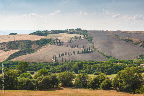 Summer landscape and uphill road with cypress in La Foce, Val d'Orcia. Tuscany