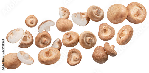 Shiitake mushrooms and mushroom pieces or cuts flying in air. File contains clipping paths.