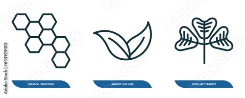 set of 3 linear icons from nature concept. outline icons such as chemical structure, apricot leaf leaf, trifoliate ternate vector