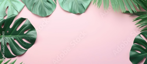 Framed leaf isolated pastel background Copy space