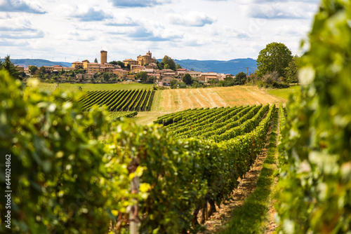 Village médiéval d’Oingt construit en pierres dorées typique de cette région du Beaujolais depuis les vignobles aux alentours