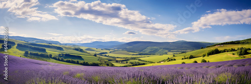 Rolling hills of lavender, buzzing bees, soft focus, expansive landscape, dreamy clouds, peaceful and idyllic