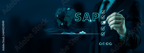 SAP Business Automation Software with AI Integration. Exploring the Synergy of Internet, Business, Technology, and Networks