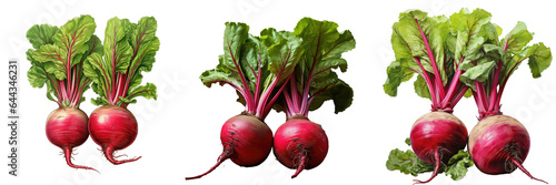 Red beet from garden transparent background