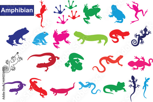Amphibian vector illustration with colorful silhouettes of frogs, salamanders, and newts. This image is perfect for projects related to biology, ecology, wildlife, and nature. 
