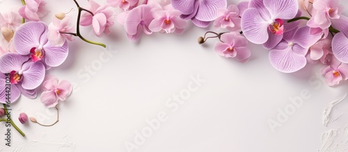 Vibrant diverse orchids isolated pastel background Copy space