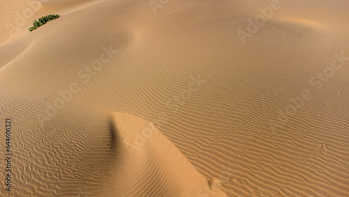 Lineas sobre la arena en desierto o medanos venezolanos