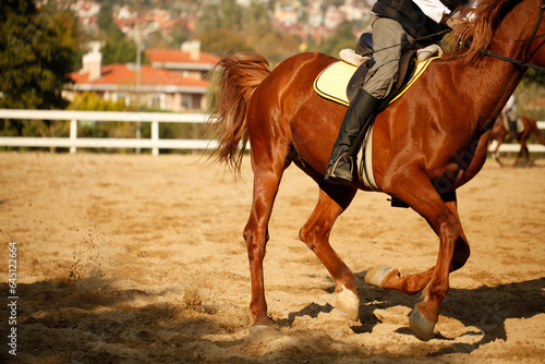 Tight close-up image of horse and rider