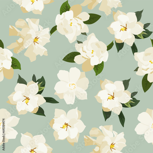 A seamless pattern of Gardenia flower. vector illustation. Gardenia flower background.