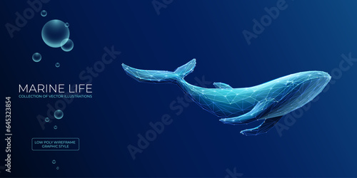 Abstract blue whale underwater in polygons on a technology blue background. Low poly wireframe marine life concept. Polygonal futuristic vector illustration with 3D effect. Modern geometric style.