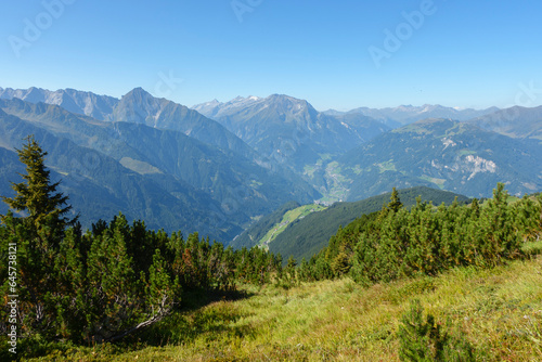 Blick ins Zillertal durch ein Latschenfeld