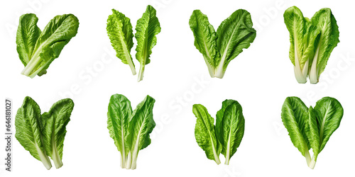 Png Set Two romaine lettuce leaves against transparent background