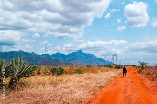 Rear view of a man walking on a dirt in a sisal palntation with Uluguru Mountains in the background at Mororgoro Town, Tanzania