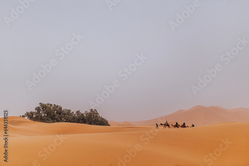 nomads traveling on camels through sand dunes in the desert