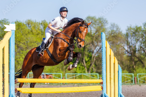 Young rider horseback woman jumping over the hurdle in showjumping competition