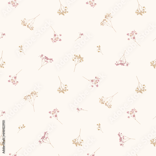 Beautiful floral seamless pattern with wild dried gypsophila flowers. Stock herbarium illustration.