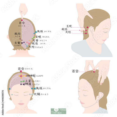 百会・風池などぐっと押したい頭の大切なツボの位置