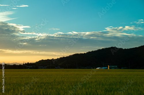 sunset in the mountains and field