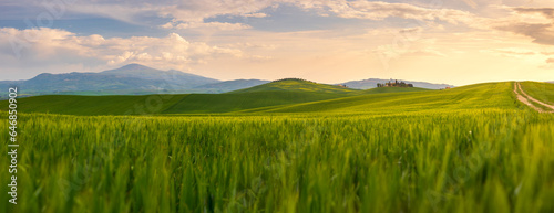 Green landscape hills in Tuscany, Italy
