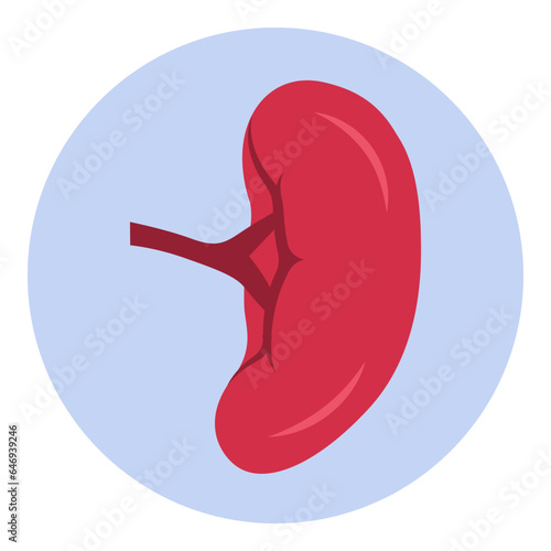 Enlarged spleen splenomegaly medical icon