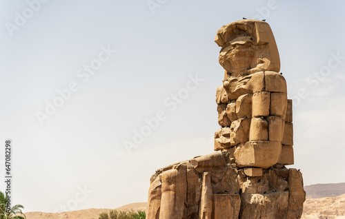 Closeup of the Colossi of Memnon in the early morning in Luxor, Egpyt