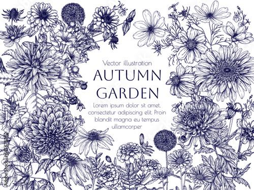 Vector frame autumn garden. Dahlia, cosmos, zinnia, marigold, calendula, rudbeckia, gladiolus, datura, eryngium, allium, chrysanthemum, lobelia, gerbera in engraving style