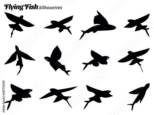 Collection of vector illustrations of flying fish silhouettes