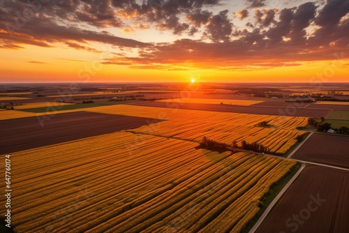 A beautiful sunset over a lush field of crops