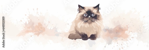 Himalayan Cat On White Background