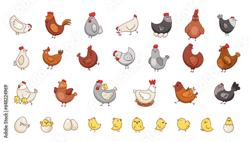 Hen rooster and chick. Cute chicken farm characters. Vector drawing. Collection of design elements.