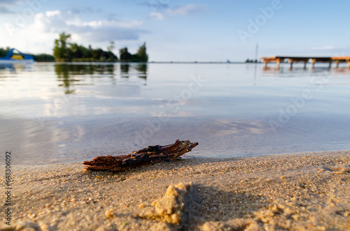 fragment drewienka wyrzucony przez wodę na plaży przy brzegu jeziora