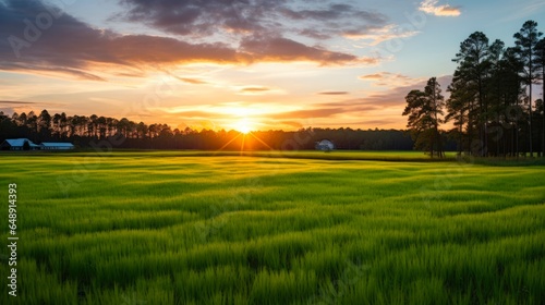 Beautiful Sunset on South Carolina Farm Land with Vast Green Field and Vista of York County in Spring and Summer