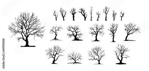 Dead Trees, Naked trees silhouettes. Winter trees isolated on white background