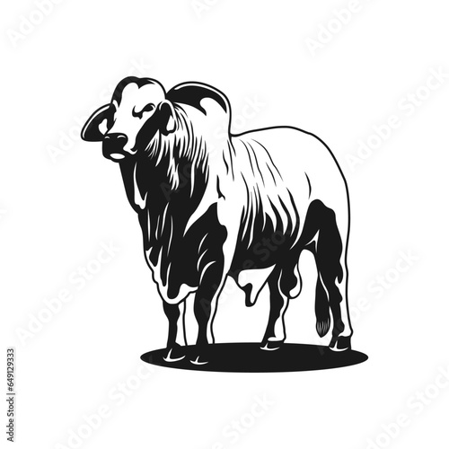 brahman cow logo, vector image illustration