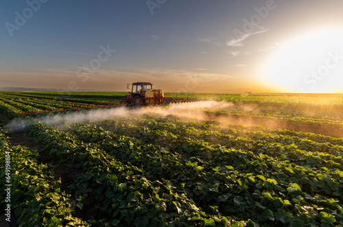 Tractor spraying vegetable field in sunset.