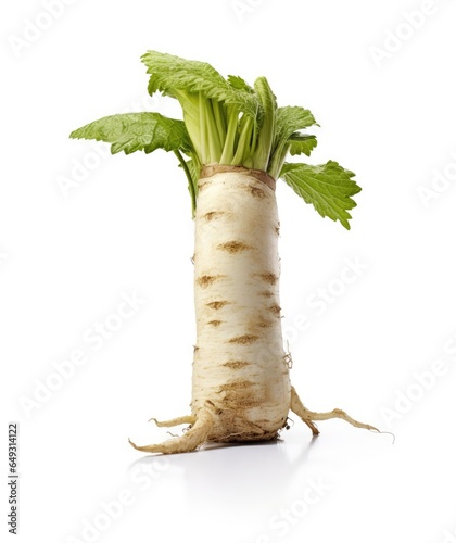 Horseradish Armoracia rusticana on White background, HD