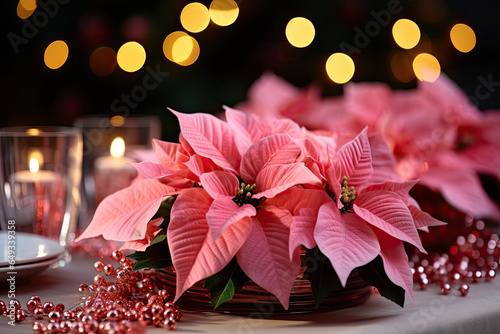 christmas pink holly star flowers on the table in bokeh light