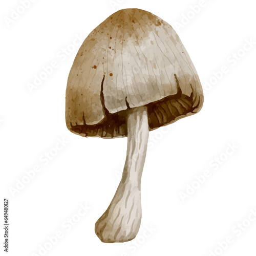 Toadstool mushroom. Vector graphics.
