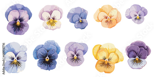 watercolor pansy clipart for graphic resources