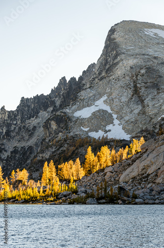 Golden larches on mountain in Enchantment Lakes Wilderness in Washington