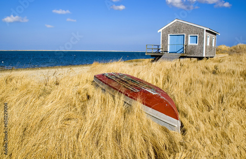 New England Boathouse with Row Boat and Golden Marsh Grass at Chatham, Cape Cod