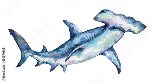 Watercolor Great Hammerhead Shark. Hand drawn illustration isolated on white background.