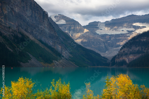 Vibrant yellow foliage lines the turquoise-colored waters of Lake Louise in Banff National Park in Alberta, Canada, in autumn 