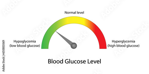 Blood Glucose Levels. Normal level, hypoglycemia (low blood sugar), hyperglycemia (high blood sugar), sugar test. vector diagram 