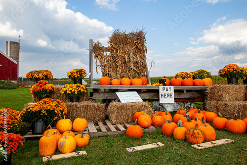 Pumpkins, corn stalks, mums and straw bales for sale in Wisconsin