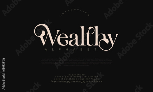 Wealthy premium luxury elegant alphabet letters and numbers. Elegant wedding typography classic serif font decorative vintage retro. Creative vector illustration