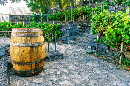 old vintage oaken wine barrel on wineyard, vinery rural landscape