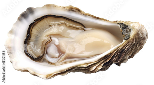 Fresh raw oysters on transparent background.